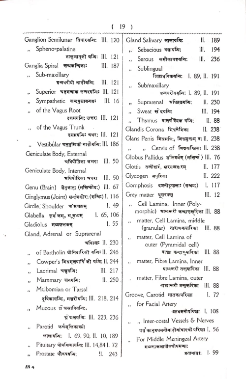 Anatomical Nomenclature